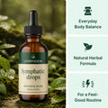 LymphDew lymphatic drops and daily botanical wellness features